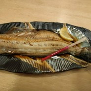 寿司炉端 ぎふ寿司男