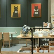 CACAOCAT 春日井店
