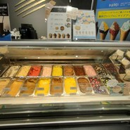 CACAOCAT 春日井店