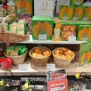 CACAOCAT 春日井店