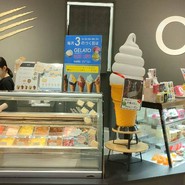 CACAOCAT 春日井店