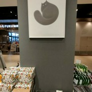 CACAOCAT 春日井店
