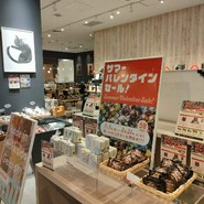 CACAOCAT 春日井店