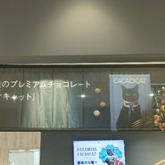 CACAOCAT 春日井店