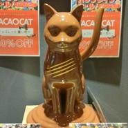 CACAOCAT 春日井店