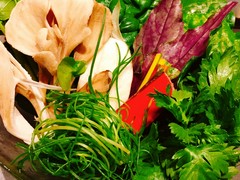 しゃぶしゃぶつかだ 渋谷スクランブルスクエア店