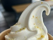 川中醤油 醤の館