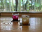 エヴァム・エヴァ・ヤマナシ・アジ