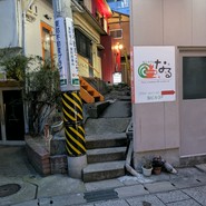 COSI　ROSI　OTTO　3