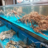 うに　むらかみ　函館駅前店