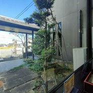 波乃家　馬目店