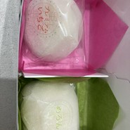 フルーツ大福 果実ノ華 心斎橋御堂筋店
