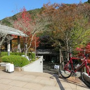 霧の森菓子工房 新宮本店