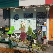 和伊ダイニング やどりぎ