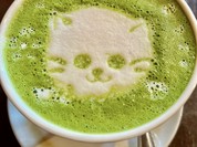 クレマ（latte art cafe Crema）