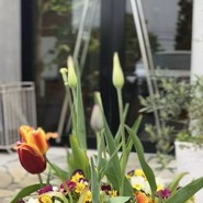 クレマ（latte art cafe Crema）