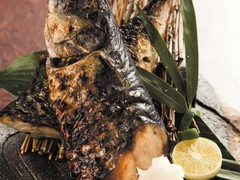 名物！大トロ鯖