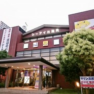 シーアイガ海月