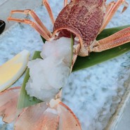 シーアイガ海月