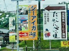 シーアイガ海月