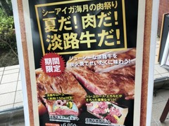 シーアイガ海月