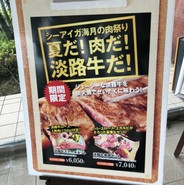 シーアイガ海月