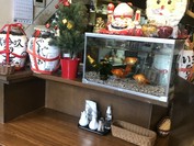 ヤッチャイ