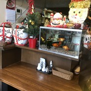 ヤッチャイ