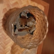 黒ごま濃厚アイス