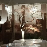 権八西麻布店