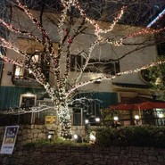 権八西麻布店