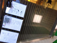 馬肉とうまいもん屋 大ひら