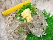 生しらす