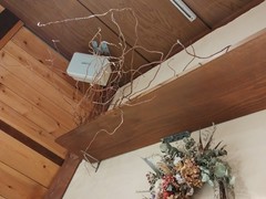 アルベロヴィラッジョ