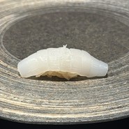 鮨　五十六歩