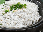 釜揚げしらす丼