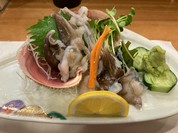 生とり貝造り