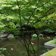 活水軒
