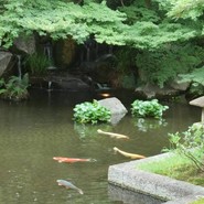 活水軒