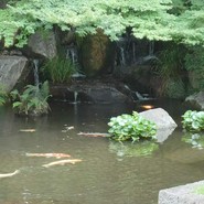 活水軒