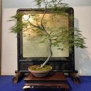 活水軒