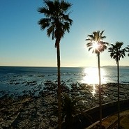ホテルグリーンプラザ 鴨川