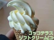 コッコテラス