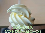 コッコテラス