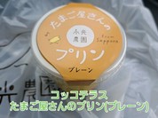 コッコテラス