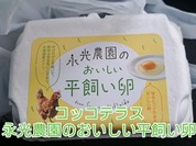 コッコテラス