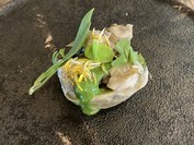 余市SAGRA