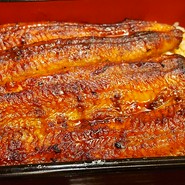 しゃぶしゃぶ・すき焼き・鰻　吉野