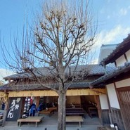おかげ横丁　ふくすけ