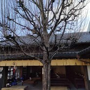 おかげ横丁　ふくすけ